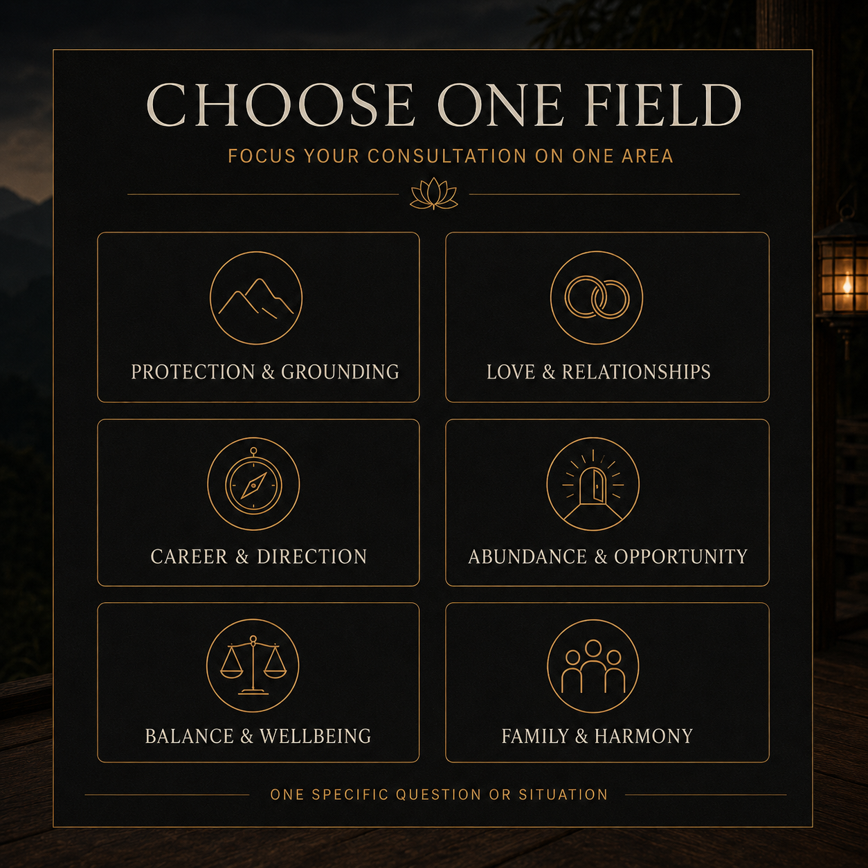 Six fields available for a focused personalized consultation